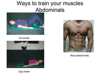Ways to train your muscles
       Abdominals



Crunches




                    Nice abdominals




Leg raises
 