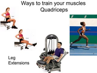 Ways to train your muscles
             Quadriceps




Leg
Extensions
 