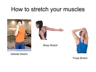 How to stretch your muscles




                   Bicep Stretch


Deltoids Stretch
                                   Tricep Stretch
 