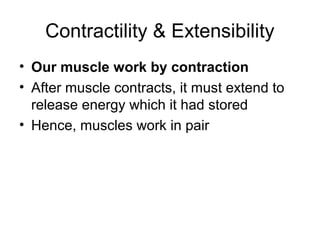 Contractility & Extensibility
• Our muscle work by contraction
• After muscle contracts, it must extend to
  release energy which it had stored
• Hence, muscles work in pair
 