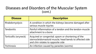 Diseases and Disorders of the Muscular System
(cont.)

Disease

Description

Rhabdomyolysis

A condition in which the kidneys become damaged after
serious muscle injuries

Tendonitis

Painful inflammation of a tendon and the tendon-muscle
attachment to a bone

Torticollis (wryneck)

Acquired or congenital; spasm or shortening of the
sternocleidomastoid muscle; head bends to affected side
and chin rotates to opposite side

Trichinosis

An infection caused by parasites (worms)

 