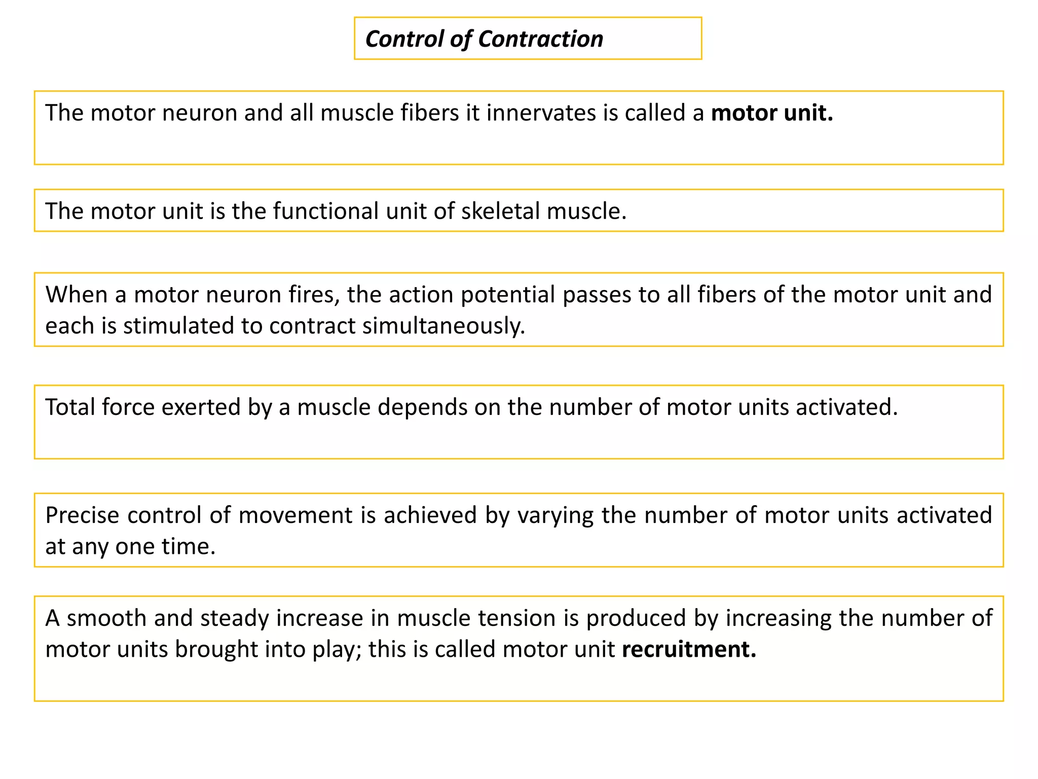 The motor neuron and all muscle fibers it innervates is called a motor unit.
Control of Contraction
The motor unit is the functional unit of skeletal muscle.
When a motor neuron fires, the action potential passes to all fibers of the motor unit and
each is stimulated to contract simultaneously.
Total force exerted by a muscle depends on the number of motor units activated.
Precise control of movement is achieved by varying the number of motor units activated
at any one time.
A smooth and steady increase in muscle tension is produced by increasing the number of
motor units brought into play; this is called motor unit recruitment.
 