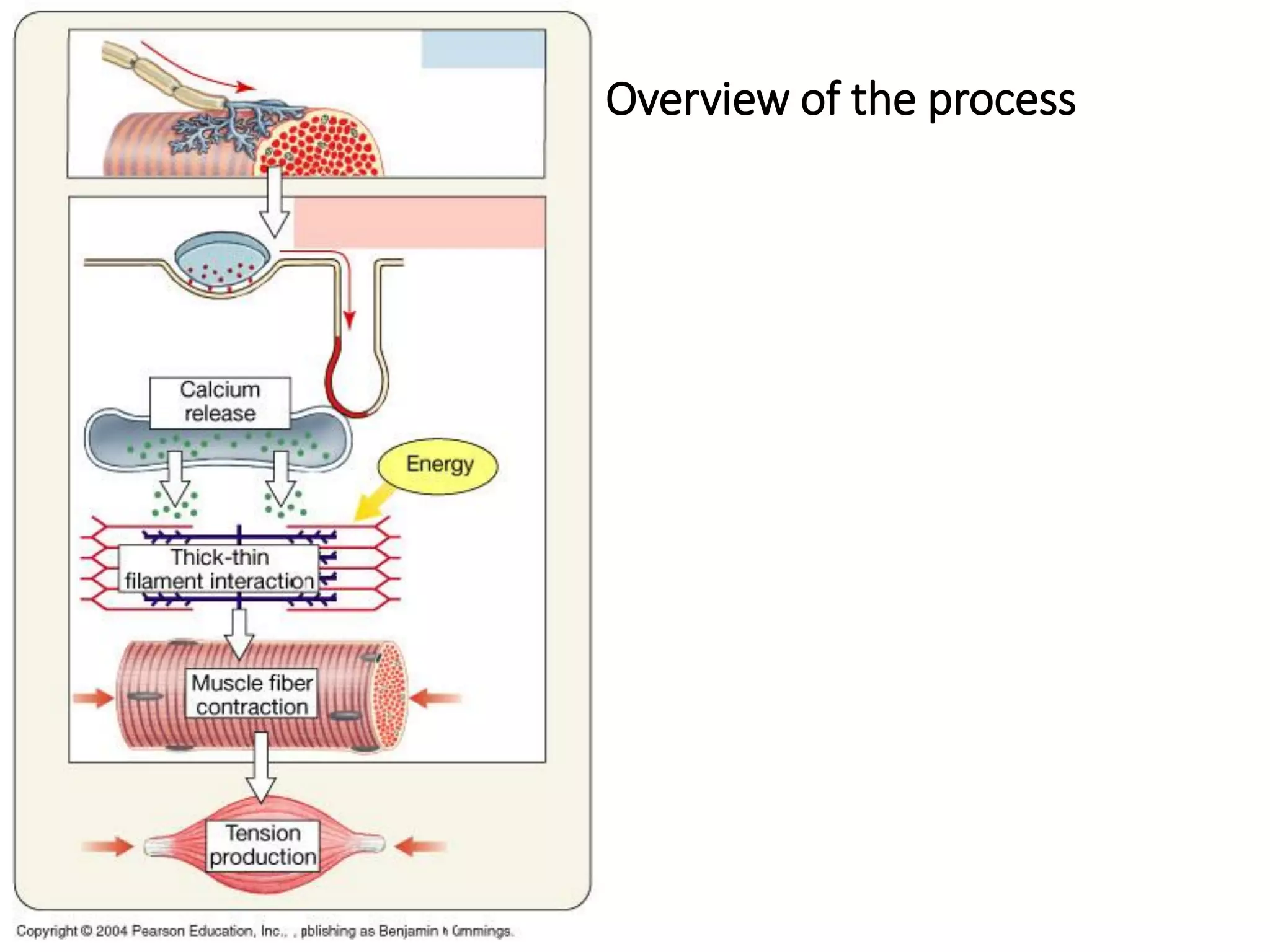 Overview of the process
 