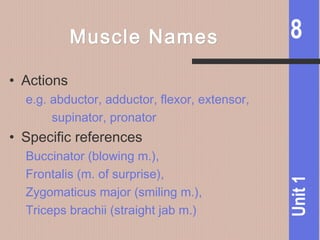 8
Unit1
Muscle NamesMuscle Names
• Actions
e.g. abductor, adductor, flexor, extensor,
supinator, pronator
• Specific references
Buccinator (blowing m.),
Frontalis (m. of surprise),
Zygomaticus major (smiling m.),
Triceps brachii (straight jab m.)
 