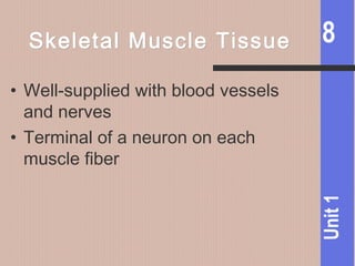 8
Unit1
Skeletal Muscle TissueSkeletal Muscle Tissue
• Well-supplied with blood vessels
and nerves
• Terminal of a neuron on each
muscle fiber
 