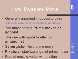 8
Unit1
How Muscles MoveHow Muscles Move
• Generally arranged in opposing pairs
Flexors- extensors; abductors- adductors
• The major actor = Prime mover or
agonist
• The one with opposite effect =
antagonist
• Synergists- help prime mover
• Fixators- stabilize origin of prime mover
• Role of muscle varies with motion
 