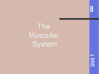 8
Unit1
TheThe
MuscularMuscular
SystemSystem
 
