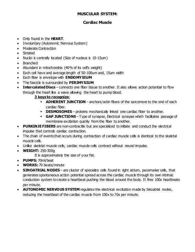 Muscular System: The Cardiac Muscle (Heart)