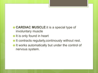  CARDIAC MUSCLE:it is a special type of
involuntary muscle
 It is only found in heart
 It contracts regularly,continously without rest.
 It works automatically but under the control of
nervous system.
 