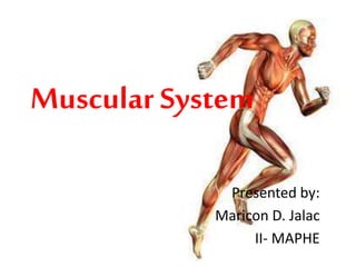 Muscular System
Presented by:
Maricon D. Jalac
II- MAPHE
 