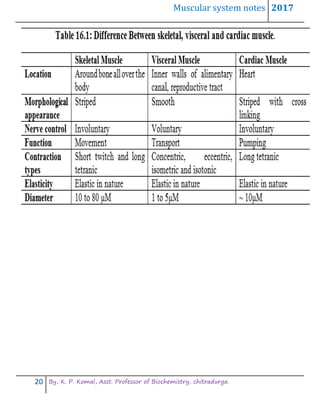 Muscular system notes 2017
20 By, K. P. Komal, Asst. Professor of Biochemistry, chitradurga.
 