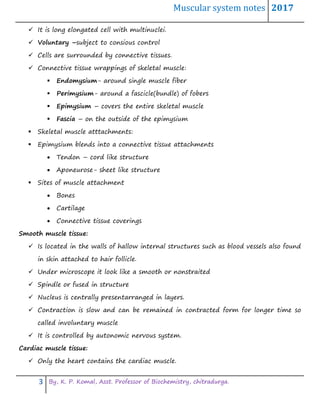 Muscular system notes 2017
3 By, K. P. Komal, Asst. Professor of Biochemistry, chitradurga.
 It is long elongated cell with multinuclei.
 Voluntary –subject to consious control
 Cells are surrounded by connective tissues.
 Connective tissue wrappings of skeletal muscle:
 Endomysium- around single muscle fiber
 Perimysium- around a fascicle(bundle) of fobers
 Epimysium – covers the entire skeletal muscle
 Fascia – on the outside of the epimysium
 Skeletal muscle atttachments:
 Epimysium blends into a connective tissue attachments
 Tendon – cord like structure
 Aponeurose- sheet like structure
 Sites of muscle attachment
 Bones
 Cartilage
 Connective tissue coverings
Smooth muscle tissue:
 Is located in the walls of hallow internal structures such as blood vessels also found
in skin attached to hair follicle.
 Under microscope it look like a smooth or nonstraited
 Spindle or fused in structure
 Nucleus is centrally presentarranged in layers.
 Contraction is slow and can be remained in contracted form for longer time so
called involuntary muscle
 It is controlled by autonomic nervous system.
Cardiac muscle tissue:
 Only the heart contains the cardiac muscle.
 
