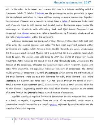 Muscular system notes 2017
8 By, K. P. Komal, Asst. Professor of Biochemistry, chitradurga.
side to the other. In between two terminal cisternae is a tubular infolding called a
transverse tubule (T tubule). T tubules are the pathways for action potentials to signal
the sarcoplasmic reticulum to release calcium, causing a muscle contraction. Together,
two terminal cisternae and a transverse tubule form a triad. A sarcomere is the basic
unit of muscle tissue in both cardiac and skeletal muscle. Sarcomeres appear under the
microscope as striations, with alternating dark and light bands. Sarcomeres are
connected to a plasma membrane, called a sarcolemma, by T-tubules, which speed up
the rate of depolarization within the sarcomere.
Individual sarcomeres are composed of long, fibrous proteins that slide past each
other when the muscles contract and relax. The two most important proteins within
sarcomeres are myosin, which forms a thick, flexible filament, and actin, which forms
the thin, more rigid filament. Myosin has a long, fibrous tail and a globular head which
binds to actin. The myosin head also binds to ATP, the source of energy for muscle
movement. Actin molecules are bound to the Z-disc (Zwischeibe disc), which forms the
borders of the sarcomere, separetes one sarcomere from other. Together, myosin and
actin form myofibrils, the repeating molecular structure of sarcomeres. The darker
middle portion of sarcomere is A band (Anisotropic), which extends the entire length of
the thich filament. There are two thin filaments for every thick filament . the I band
(Isotropic) is a ligghter, less dense area. A z disc passes through the centre of each I
band, a narrow h zone (Henson zone), in the centre of each A band contains thick but
no thin filament. Supporting protein that holds thick filament together at the centre
of H zone form M line (Merkel’s line) so named because of sarcomere.
Myofibril activity is required for muscle contraction on the molecular level. When
ATP binds to myosin, it separates from the actin of the myofibril, which causes a
contraction. Muscle contraction is a complex process regulated by calcium influx and the
stimulus of electrical impulses.
 