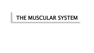 THE MUSCULAR SYSTEM
 