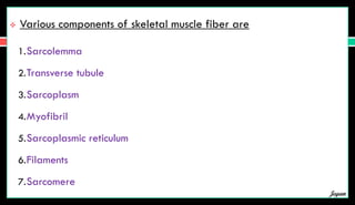  Various components of skeletal muscle fiber are
1.Sarcolemma
2.Transverse tubule
3.Sarcoplasm
4.Myofibril
5.Sarcoplasmic reticulum
6.Filaments
7.Sarcomere
Jegan
 