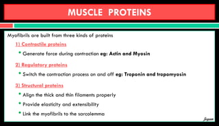 MUSCLE PROTEINS
Myofibrils are built from three kinds of proteins
1) Contractile proteins
• Generate force during contraction eg: Actin and Myosin
2) Regulatory proteins
• Switch the contraction process on and off eg: Troponin and tropomyosin
3) Structural proteins
• Align the thick and thin filaments properly
• Provide elasticity and extensibility
• Link the myofibrils to the sarcolemma
Jegan
 