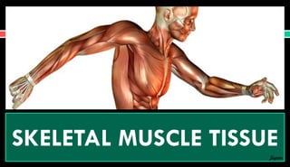 SKELETAL MUSCLE TISSUE
Jegan
 