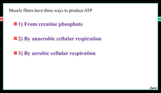 Muscle fibers have three ways to produce ATP
1) From creatine phosphate
2) By anaerobic cellular respiration
3) By aerobic cellular respiration
Jegan
 