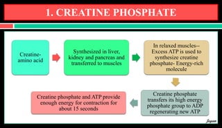 1. CREATINE PHOSPHATE
Creatine-
amino acid
Synthesized in liver,
kidney and pancreas and
transferred to muscles
In relaxed muscles--
Excess ATP is used to
synthesize creatine
phosphate- Energy-rich
molecule
Creatine phosphate
transfers its high energy
phosphate group to ADP
regenerating new ATP
Creatine phosphate and ATP provide
enough energy for contraction for
about 15 seconds
Jegan
 