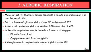 3. AEROBIC RESPIRATION
 Muscular activity that lasts longer than half a minute depends majorly on
aerobic respiration
 Each molecule of glucose yields about 36 molecules of ATP
 A fatty acid molecule yields more than 100 molecules of ATP
 In Aerobic respiration muscle tissue has 2 source of oxygen
 Directly from blood
 Oxygen released from myoglobin
 Although aerobic respiration is slower it yields more ATP
Jegan
 