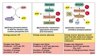 Copyright 2009, John Wiley & Sons, Inc. Jegan
 