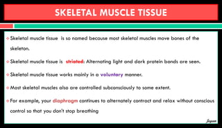 SKELETAL MUSCLE TISSUE
 Skeletal muscle tissue is so named because most skeletal muscles move bones of the
skeleton.
 Skeletal muscle tissue is striated: Alternating light and dark protein bands are seen.
 Skeletal muscle tissue works mainly in a voluntary manner.
 Most skeletal muscles also are controlled subconsciously to some extent.
 For example, your diaphragm continues to alternately contract and relax without conscious
control so that you don’t stop breathing
Jegan
 