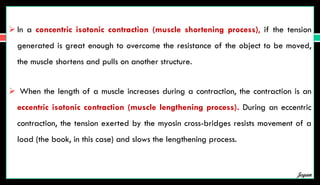  In a concentric isotonic contraction (muscle shortening process), if the tension
generated is great enough to overcome the resistance of the object to be moved,
the muscle shortens and pulls on another structure.
 When the length of a muscle increases during a contraction, the contraction is an
eccentric isotonic contraction (muscle lengthening process). During an eccentric
contraction, the tension exerted by the myosin cross-bridges resists movement of a
load (the book, in this case) and slows the lengthening process.
Jegan
 
