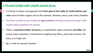 1.Visceral (single-unit) smooth muscle tissue.
 It is found in tubular arrangements that form part of the walls of small arteries and
veins and of hollow organs such as the stomach, intestines, uterus, and urinary bladder.
 The fibers connect to one another by gap junctions, forming a network through which
muscle action potentials can spread.
 When a neurotransmitter, hormone, or autorhythmic signal stimulates one fiber, the
muscle action potential is transmitted to neighbouring fibers, which then contract with
unity, as a single unit.
 Eg. in walls of stomach, intestine
Jegan
 