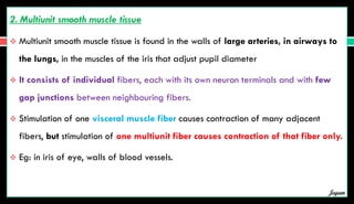 2. Multiunit smooth muscle tissue
 Multiunit smooth muscle tissue is found in the walls of large arteries, in airways to
the lungs, in the muscles of the iris that adjust pupil diameter
 It consists of individual fibers, each with its own neuron terminals and with few
gap junctions between neighbouring fibers.
 Stimulation of one visceral muscle fiber causes contraction of many adjacent
fibers, but stimulation of one multiunit fiber causes contraction of that fiber only.
 Eg: in iris of eye, walls of blood vessels.
Jegan
 