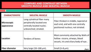 CHARACTERISTIC SKELETAL MUSCLE SMOOTH MUSCLE
Microscopic
appearance
Long cylindrical fiber many
peripherally located one
centrally located nuclei;
unbranched; striated.
Fiber thickest in middle, tapered at
each end, and with one centrally
positioned nucleus; not striated.
Location Tendons of bones
Most commonly attached by Walls of
hollow viscera, airways, blood
vessels, iris and ciliary body of eye..
Fiber diameter Very large (10–100 µm). Small (3–8 μm).
COMPARE AND CONTRAST BETWEEN
SMOOTH MUSCLE AND SKELETAL MUSCLE
Jegan
 