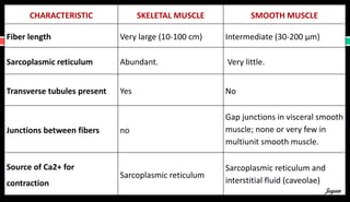 CHARACTERISTIC SKELETAL MUSCLE SMOOTH MUSCLE
Fiber length Very large (10-100 cm) Intermediate (30-200 μm)
Sarcoplasmic reticulum Abundant. Very little.
Transverse tubules present Yes No
Junctions between fibers no
Gap junctions in visceral smooth
muscle; none or very few in
multiunit smooth muscle.
Source of Ca2+ for
contraction
Sarcoplasmic reticulum
Sarcoplasmic reticulum and
interstitial fluid (caveolae)
Jegan
 