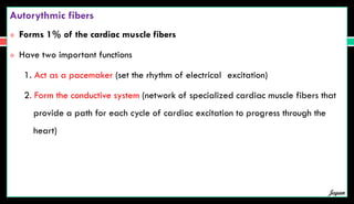 Autorythmic fibers
 Forms 1% of the cardiac muscle fibers
 Have two important functions
1. Act as a pacemaker (set the rhythm of electrical excitation)
2. Form the conductive system (network of specialized cardiac muscle fibers that
provide a path for each cycle of cardiac excitation to progress through the
heart)
Jegan
 