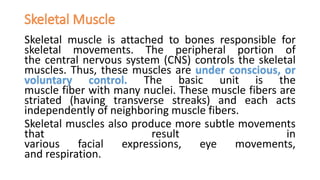 Skeletal muscle is attached to bones responsible for
skeletal movements. The peripheral portion of
the central nervous system (CNS) controls the skeletal
muscles. Thus, these muscles are under conscious, or
voluntary control. The basic unit is the
muscle fiber with many nuclei. These muscle fibers are
striated (having transverse streaks) and each acts
independently of neighboring muscle fibers.
Skeletal muscles also produce more subtle movements
that result in
various facial expressions, eye movements,
and respiration.
 