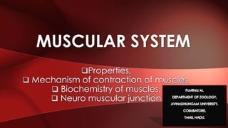 MUSCULAR SYSTEM
Properties,
 Mechanism of contraction of muscles,
 Biochemistry of muscles,
 Neuro muscular junction
1
 