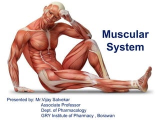 Presented by: Mr.Vijay Salvekar
Associate Professor
Dept. of Pharmacology
GRY Institute of Pharmacy , Borawan
Muscular
System
 