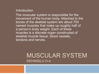 MUSCULAR SYSTEM
DEHINSILU O.A
Introduction
The muscular system is responsible for the
movement of the human body. Attached to the
bones of the skeletal system are about 700
named muscles that make up roughly half of
a person’s body weight. Each of these
muscles is a discrete organ constructed of
skeletal muscle tissue, blood vessels,
tendons and nerves.
 