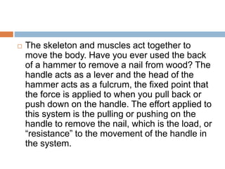 Muscular system.pptx