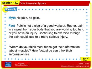 Section 11.2 Your Muscular System
Slide 1 of 16
Myth No pain, no gain.
Fact Pain is not a sign of a good workout. Rather, pain
is a signal from your body that you are working too hard
or you have an injury. Continuing to exercise through
the pain could lead to a more serious injury.
Where do you think most teens get their information
about muscles? How factual do you think their
information is?
 