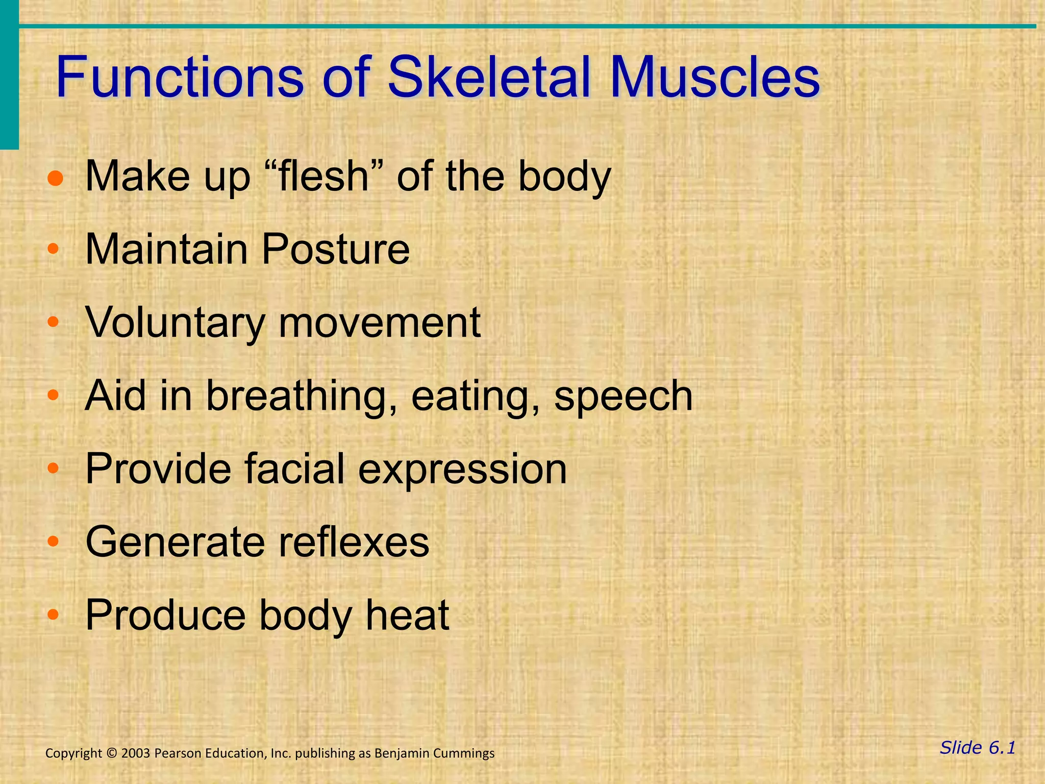Muscular System.pptx