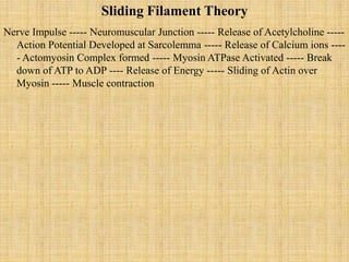 Sliding Filament Theory
Nerve Impulse ----- Neuromuscular Junction ----- Release of Acetylcholine -----
Action Potential Developed at Sarcolemma ----- Release of Calcium ions ----
- Actomyosin Complex formed ----- Myosin ATPase Activated ----- Break
down of ATP to ADP ---- Release of Energy ----- Sliding of Actin over
Myosin ----- Muscle contraction
 
