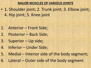 MAJOR MUSCLES OF VARIOUS JOINTS
• 1. Shoulder joint; 2. Trunk joint; 3. Elbow joint;
4. Hip joint; 5. Knee joint
1. Anterior – Front Side;
2. Posterior – Back Side;
3. Superior – Up side;
4. Inferior – Under Side;
5. Medial – Interior side of the body segment;
6. Lateral – Outer side of the body segment
 