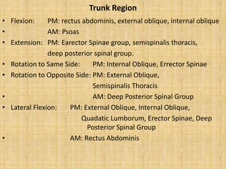Trunk Region
• Flexion: PM: rectus abdominis, external oblique, internal oblique
• AM: Psoas
• Extension: PM: Earector Spinae group, semispinalis thoracis,
deep posterior spinal group.
• Rotation to Same Side: PM: Internal Oblique, Errector Spinae
• Rotation to Opposite Side: PM: External Oblique,
Semispinalis Thoracis
• AM: Deep Posterior Spinal Group
• Lateral Flexion: PM: External Oblique, Internal Oblique,
Quadatic Lumborum, Erector Spinae, Deep
Posterior Spinal Group
• AM: Rectus Abdominis
 