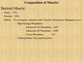 Composition of Muscles
Skeletal Muscle:
Water – 75%
Proteins – 20%
Others – 5% (inorganic substance like Calcium, Potassium, Manganese etc.)
High Energy Phosphates
Adenosine Tri Phosphate – ATP
Adenosine Di Phosphate – ADP
Cretin Phosphate - CP
Carbohydrates, Fats and Enzymes
 
