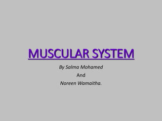 MUSCULAR SYSTEM
By Salma Mohamed
And
Noreen Wamaitha.
 