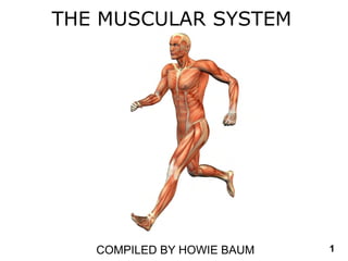 COMPILED BY HOWIE BAUM 1
THE MUSCULAR SYSTEM
 