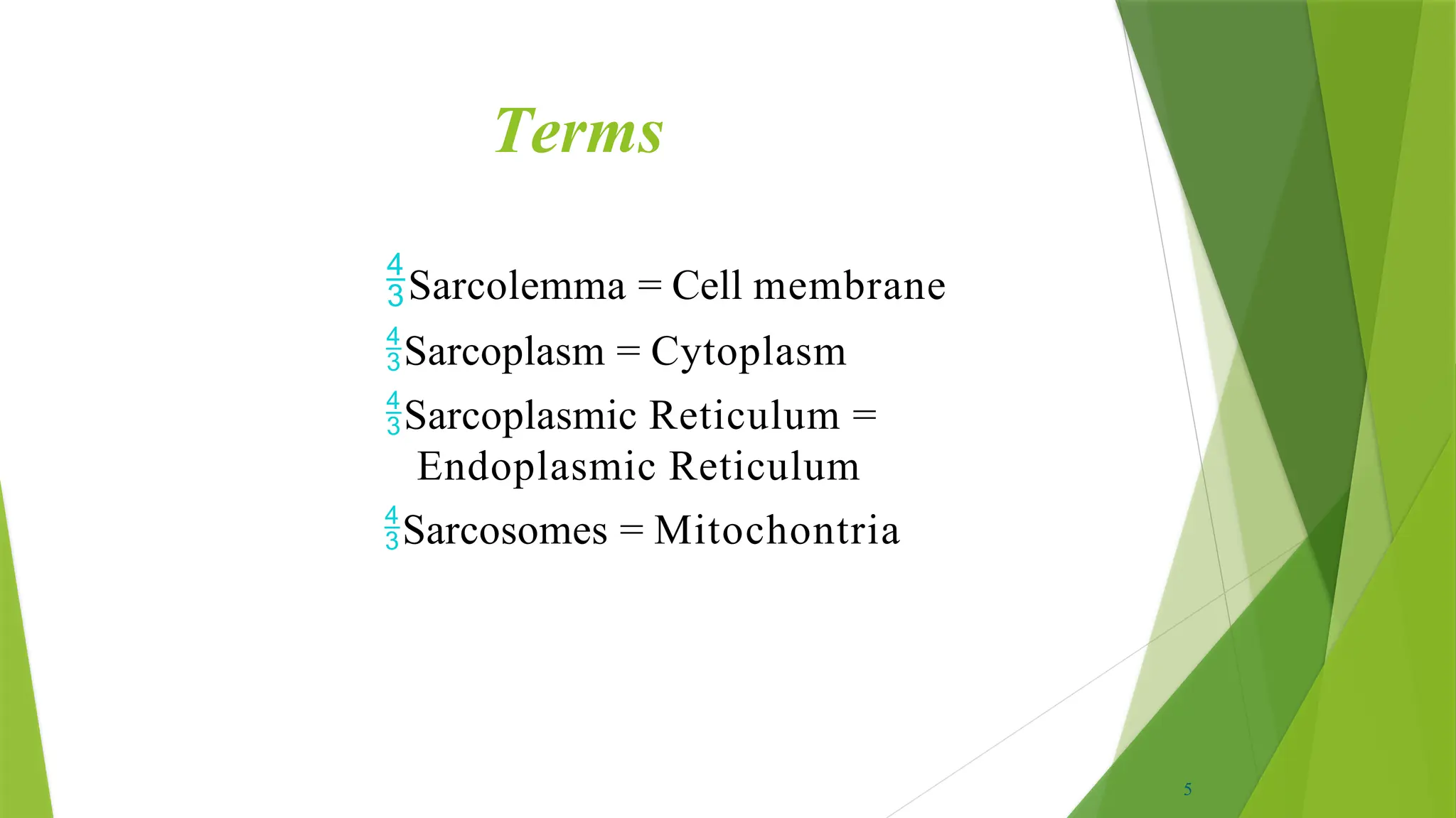 Terms
Sarcolemma = Cell membrane
Sarcoplasm = Cytoplasm
Sarcoplasmic Reticulum =
Endoplasmic Reticulum
Sarcosomes = Mitochontria
5