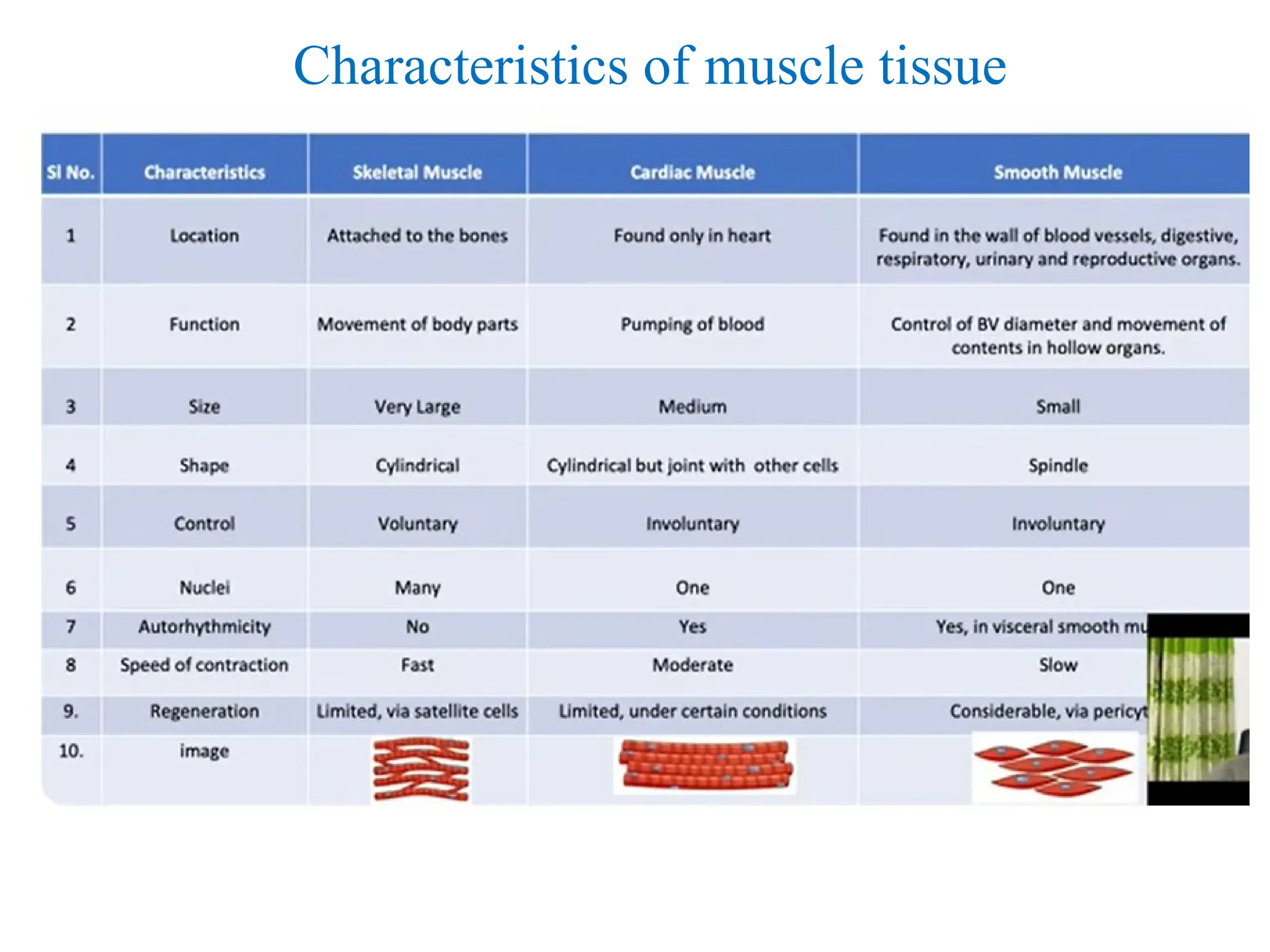 Characteristics of muscle tissue
 