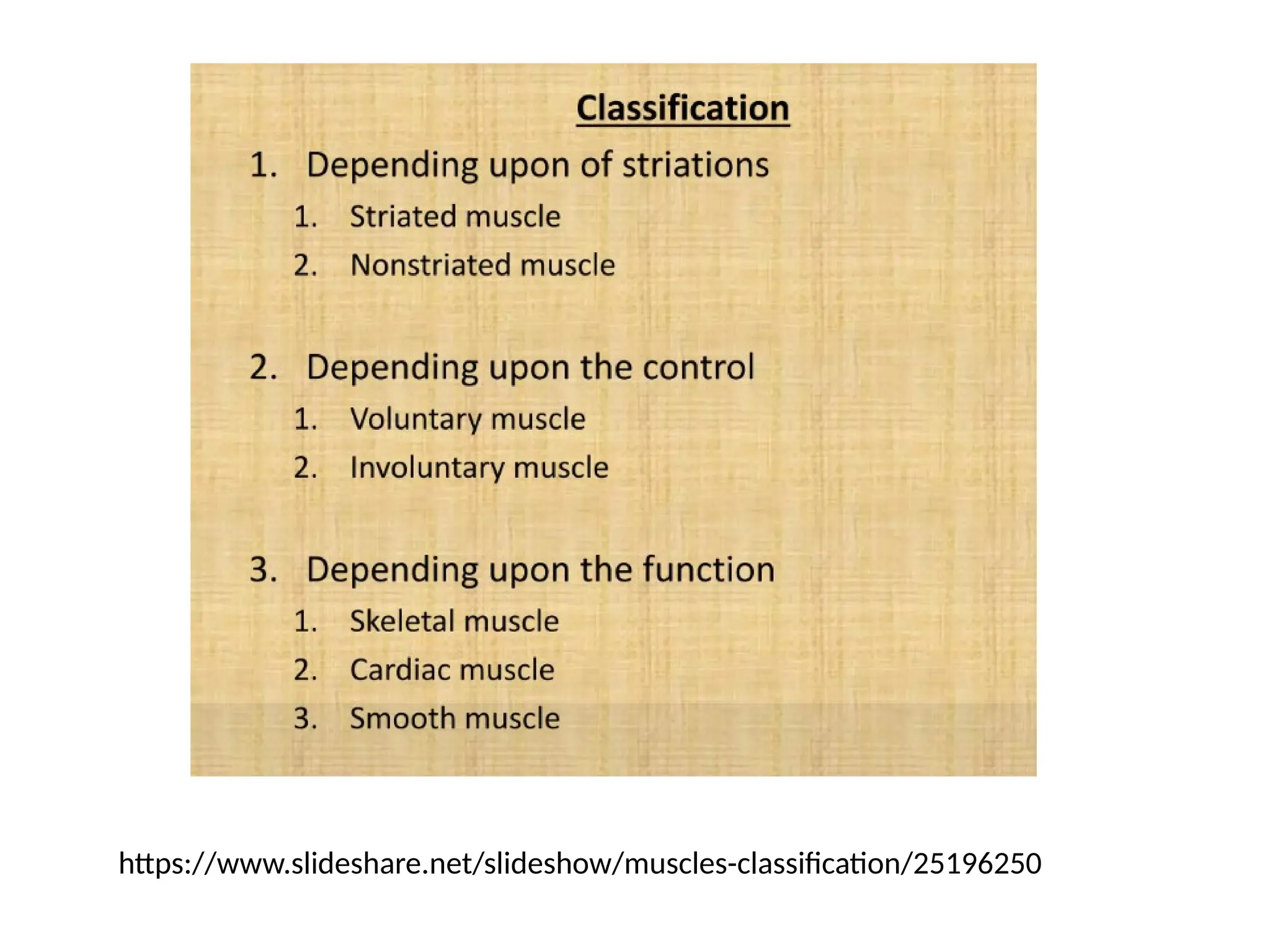 https://www.slideshare.net/slideshow/muscles-classification/25196250
 