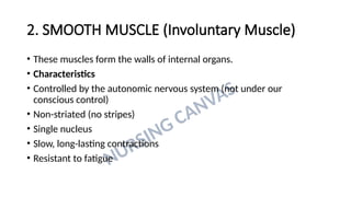 Anatomy & Physiology of MUSCULAR SYSTEM.pptx