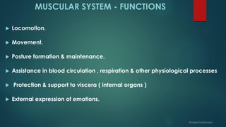 Muscular system Anatomy n Physiology | PDF